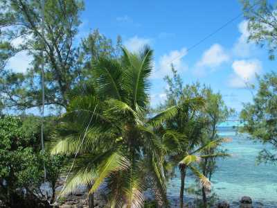 The view from the shack