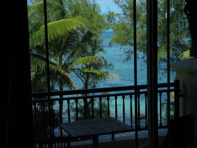The view from the shack