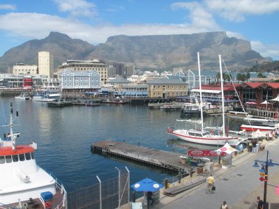 the ZS shack view