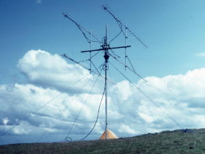 NFD 82